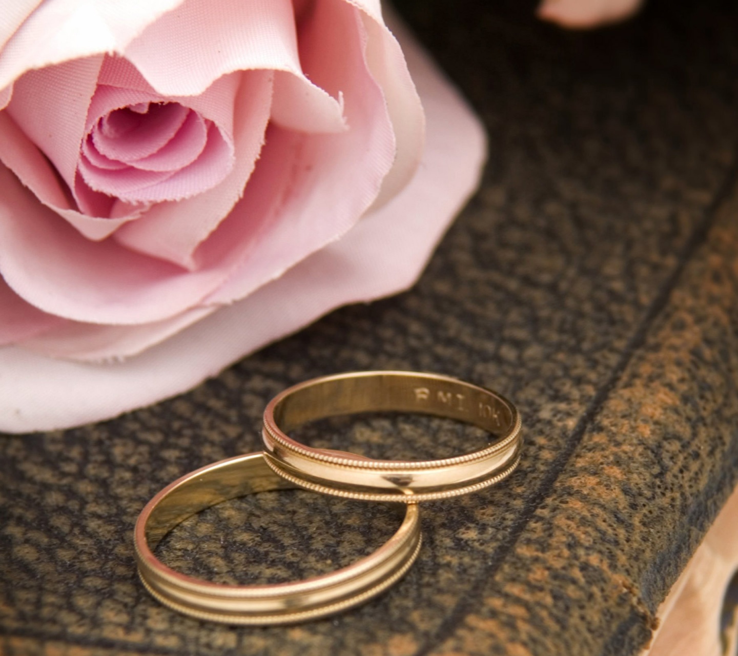 Pink Rose And Two Wedding Rings