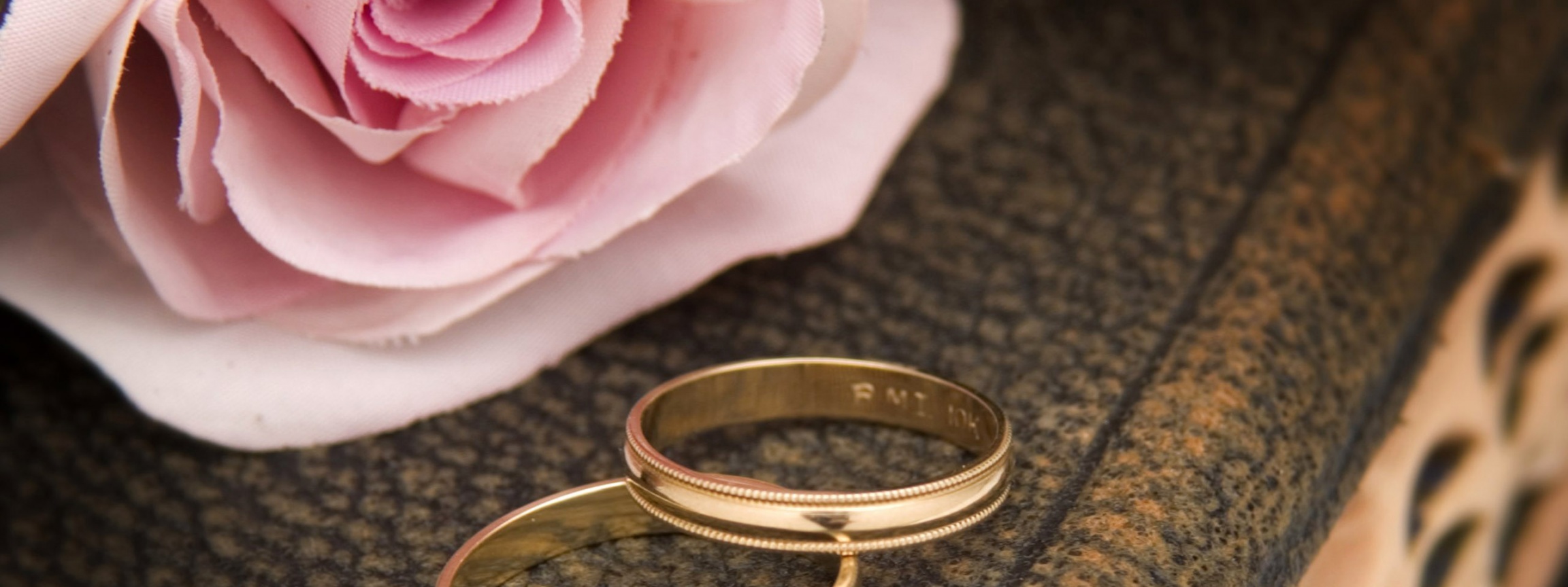 Pink Rose And Two Wedding Rings