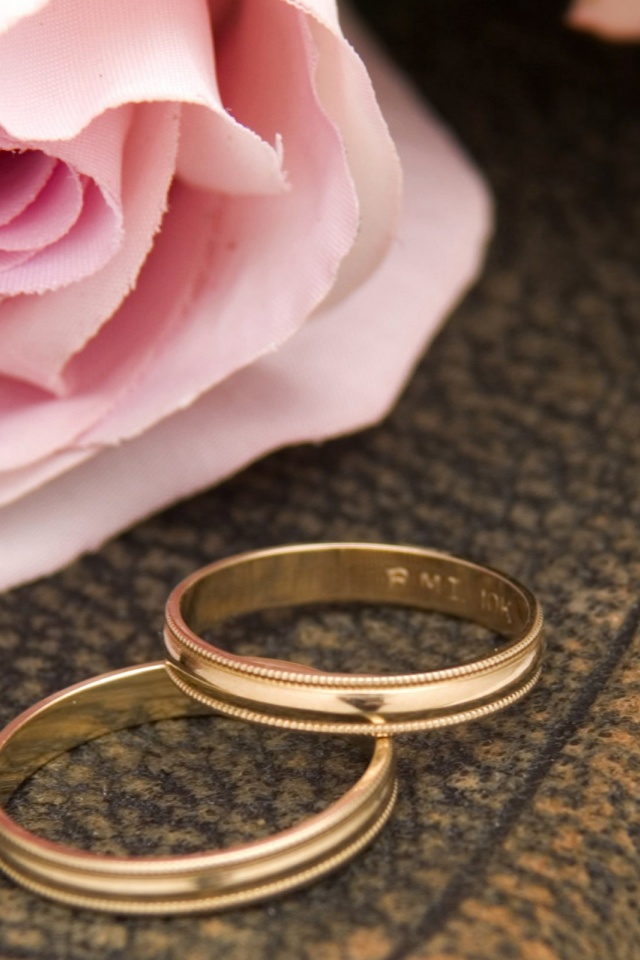 Pink Rose And Two Wedding Rings