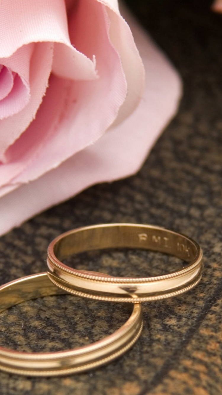 Pink Rose And Two Wedding Rings