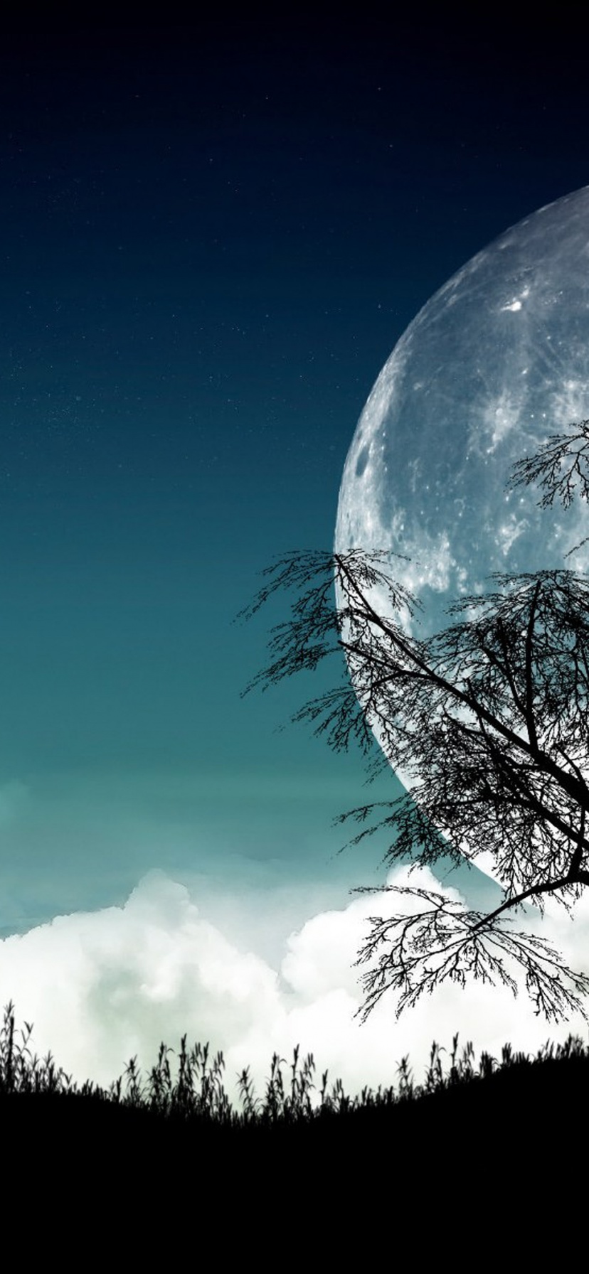 Planet Alpha By Flowgraphic