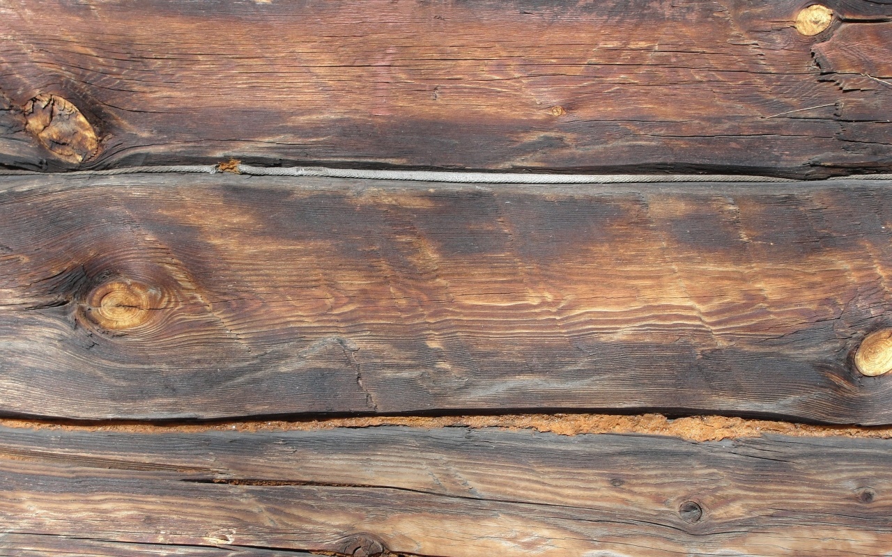 Plank Wood Wall Surface