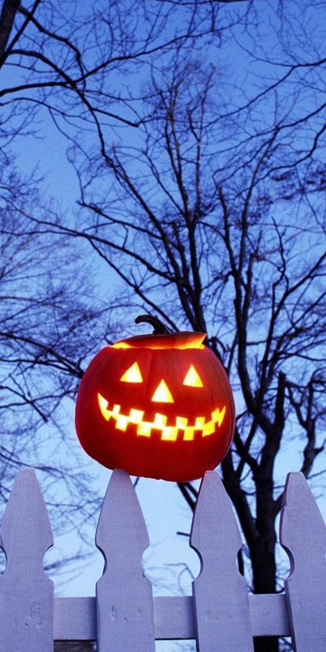 Pumpkin On Fence