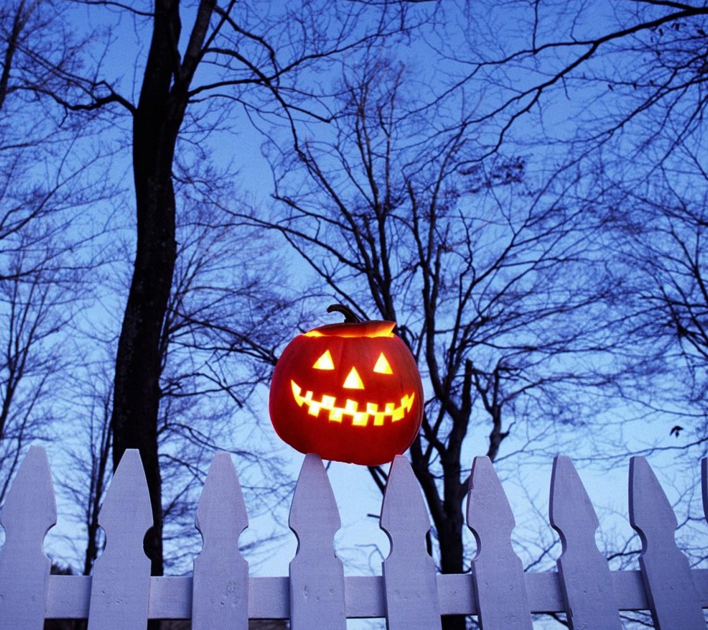 Pumpkin On Fence