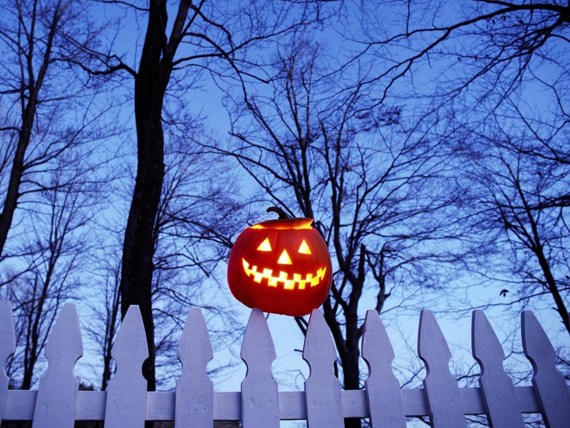 Pumpkin On Fence