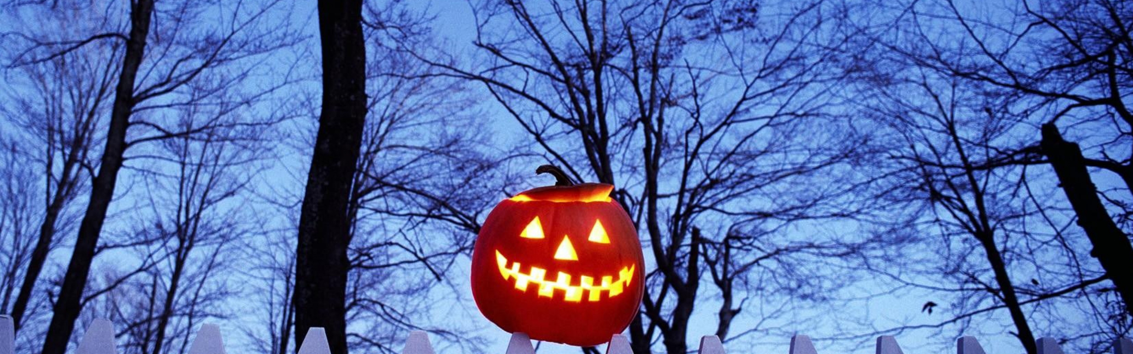 Pumpkin On Fence