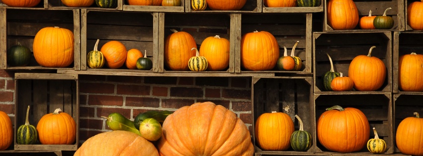 Pumpkins Autumn Art