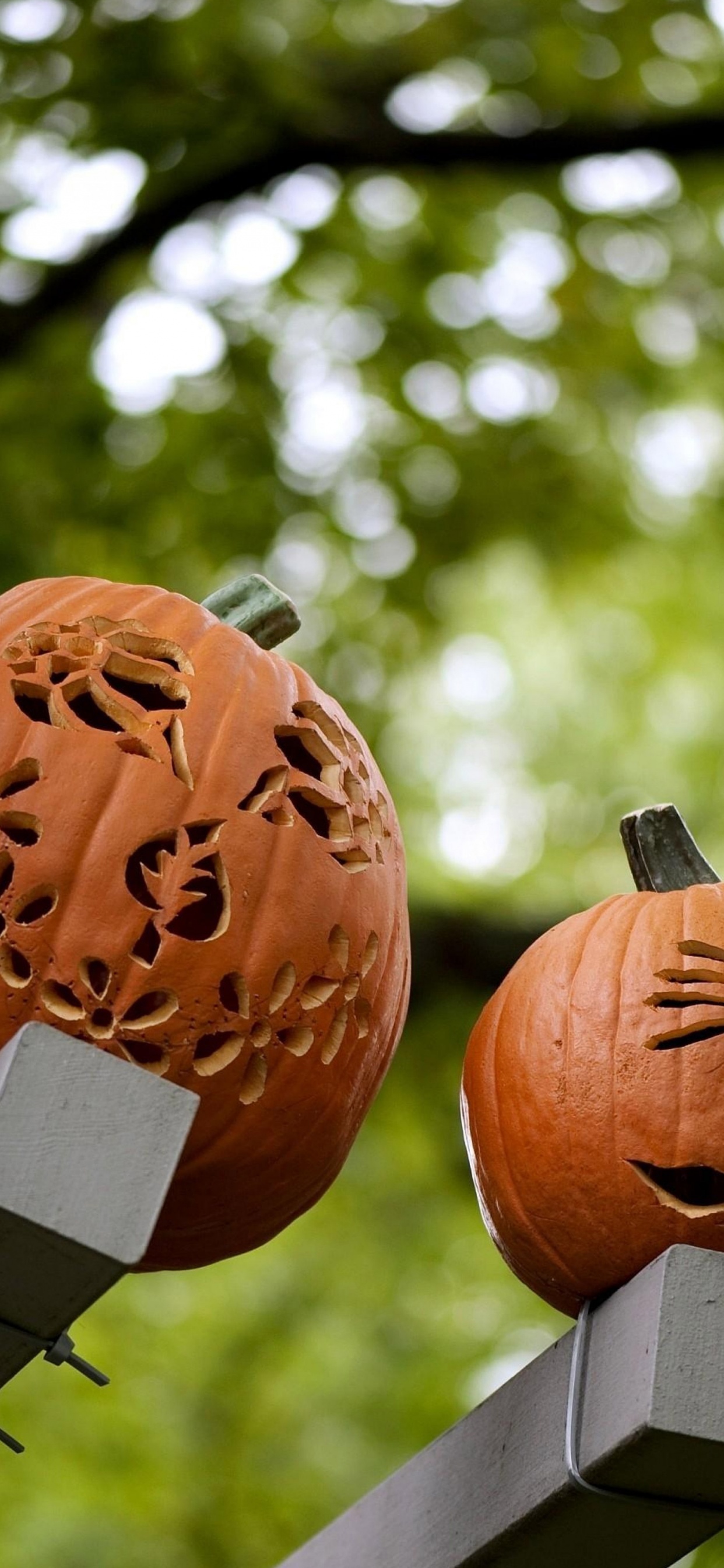 Pumpkins Carving Halloween