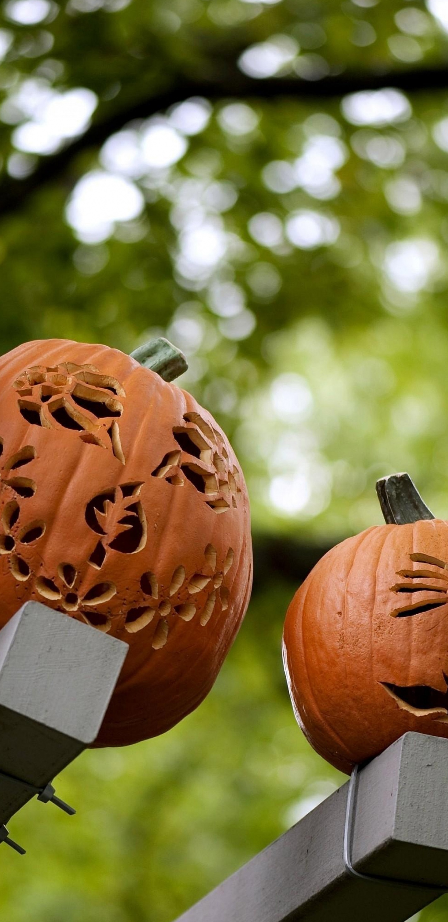 Pumpkins Carving Halloween