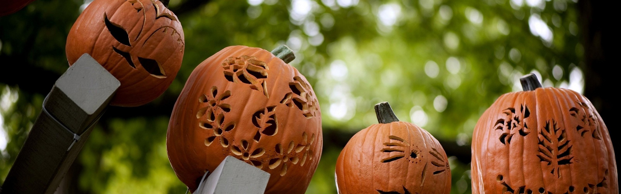 Pumpkins Carving Halloween