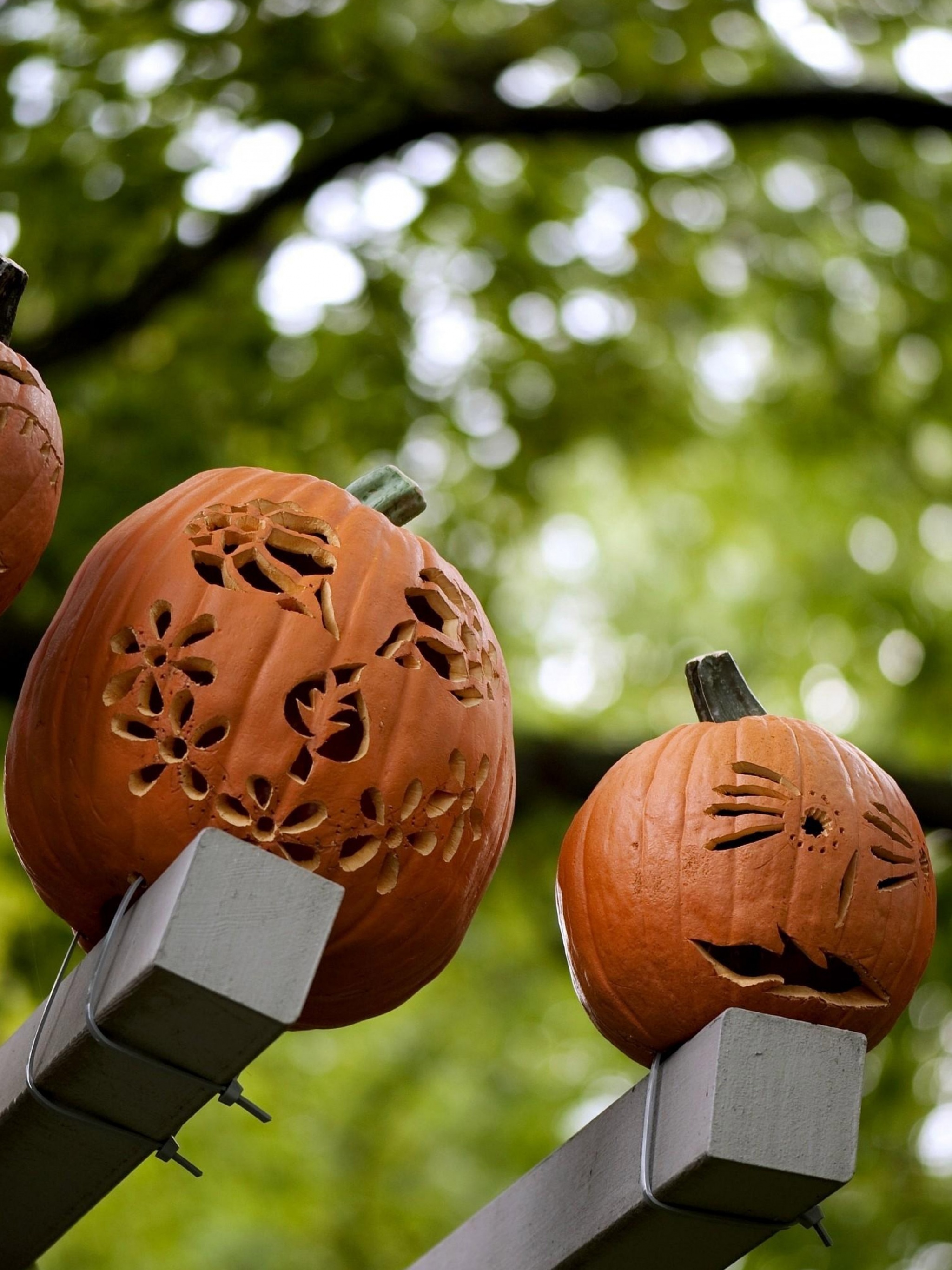 Pumpkins Carving Halloween