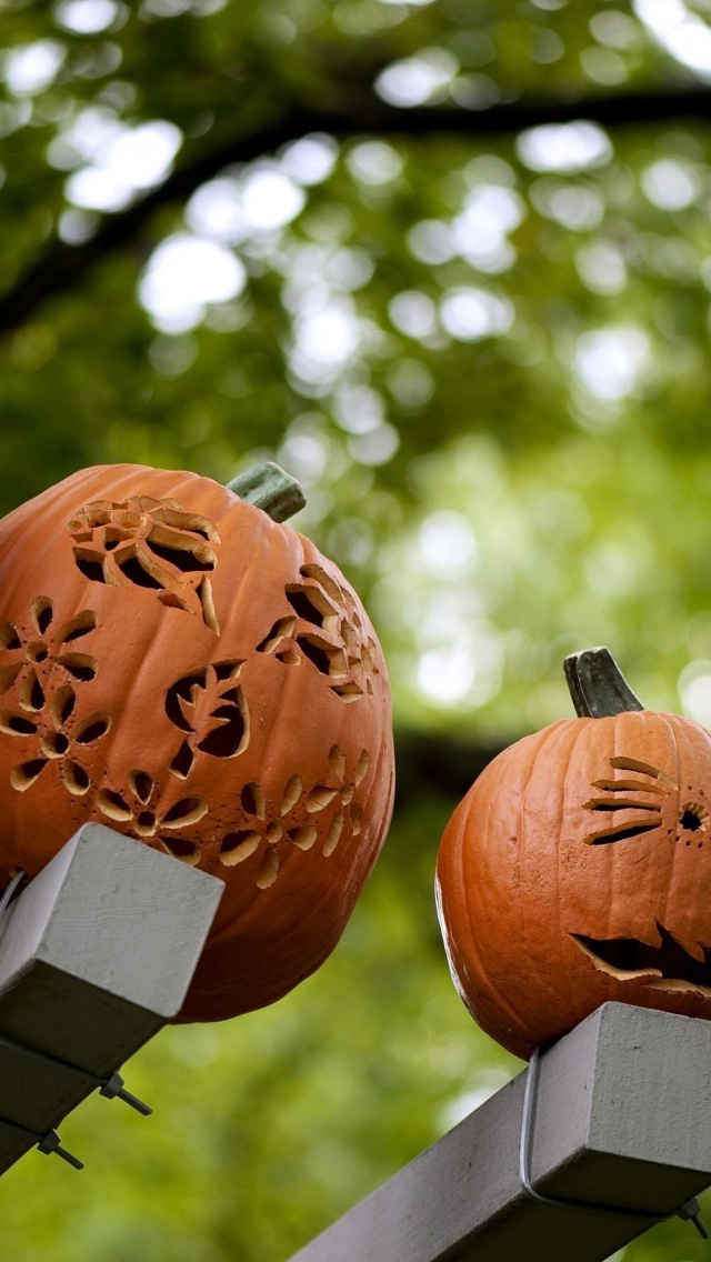 Pumpkins Carving Halloween