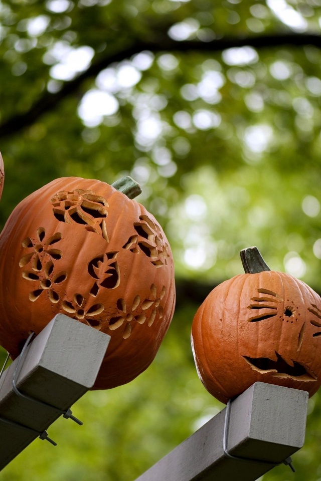 Pumpkins Carving Halloween