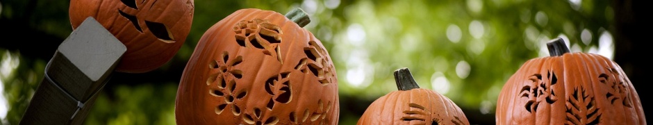 Pumpkins Carving Halloween