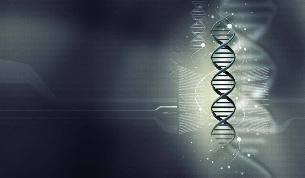 Random Plasmid - DNA