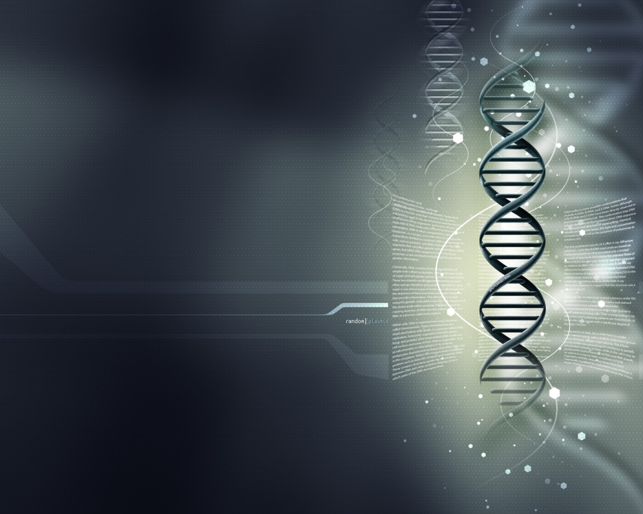 Random Plasmid - DNA