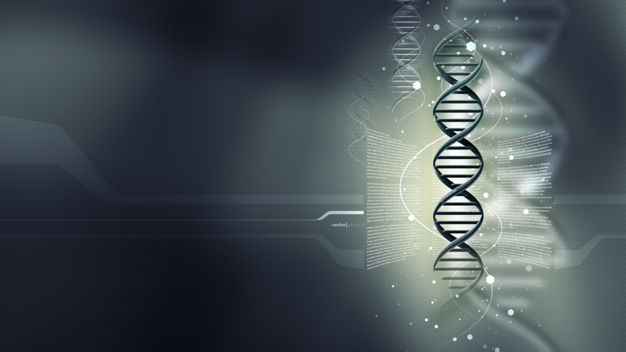 Random Plasmid - DNA