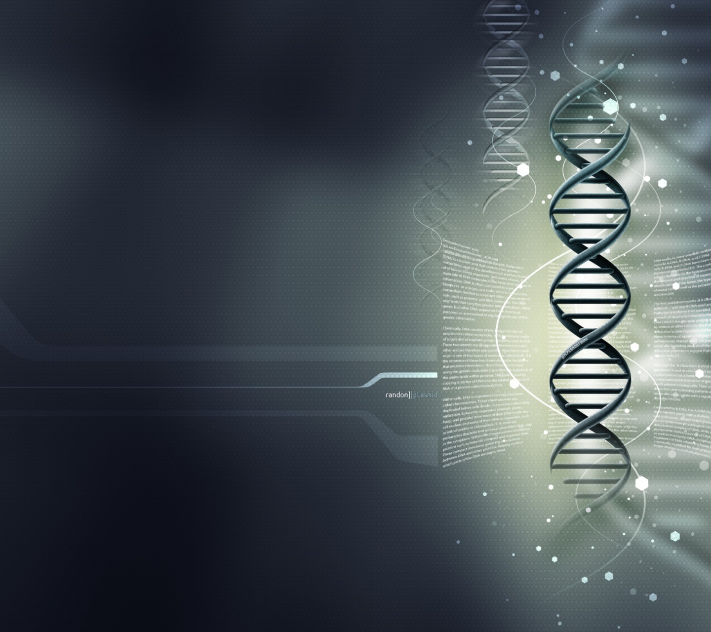 Random Plasmid - DNA