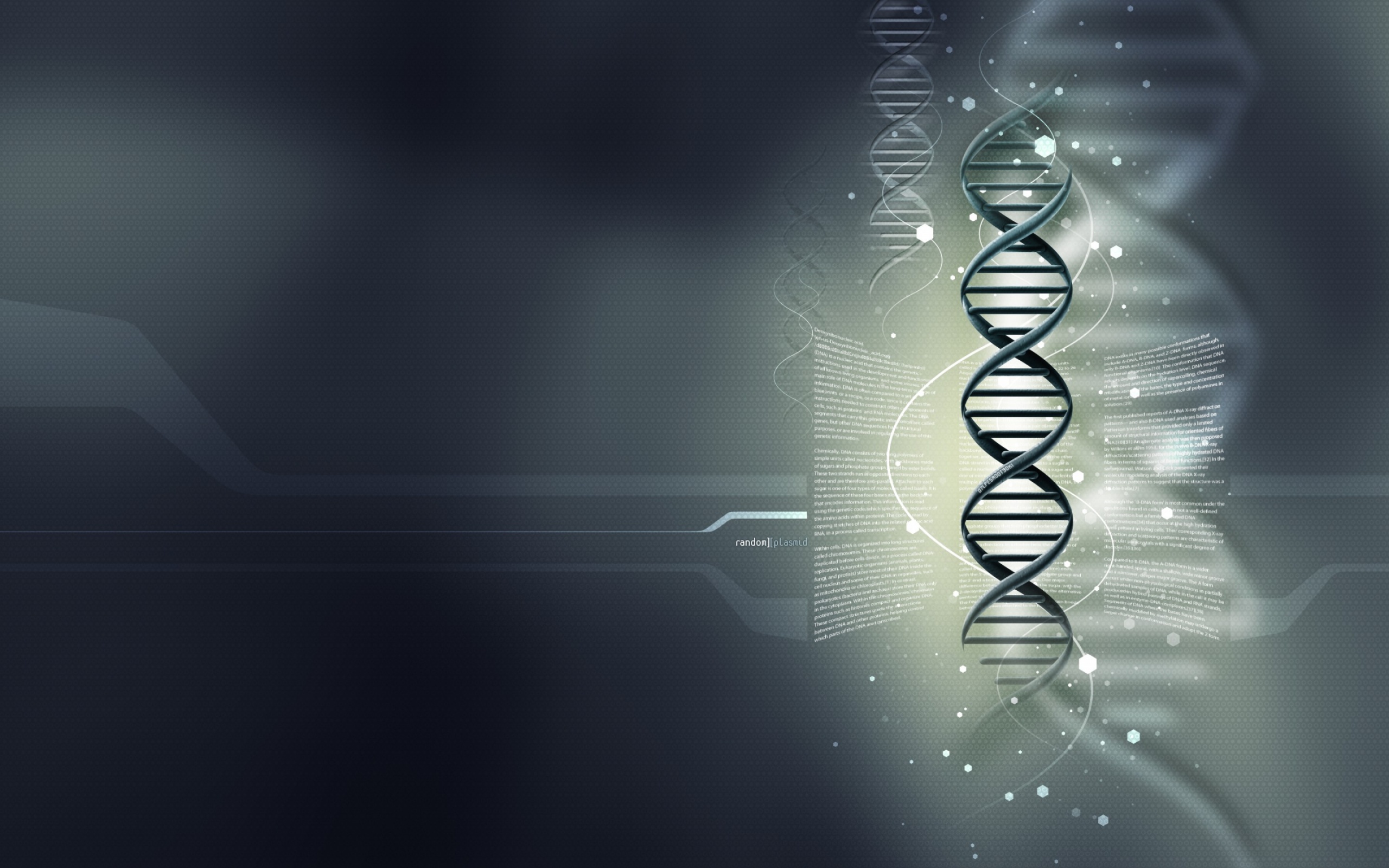 Random Plasmid - DNA