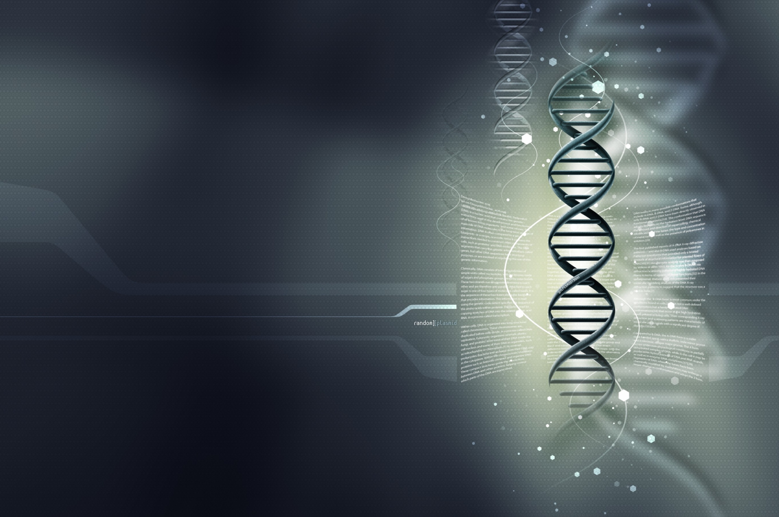 Random Plasmid - DNA