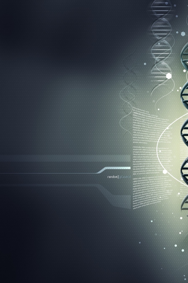 Random Plasmid - DNA