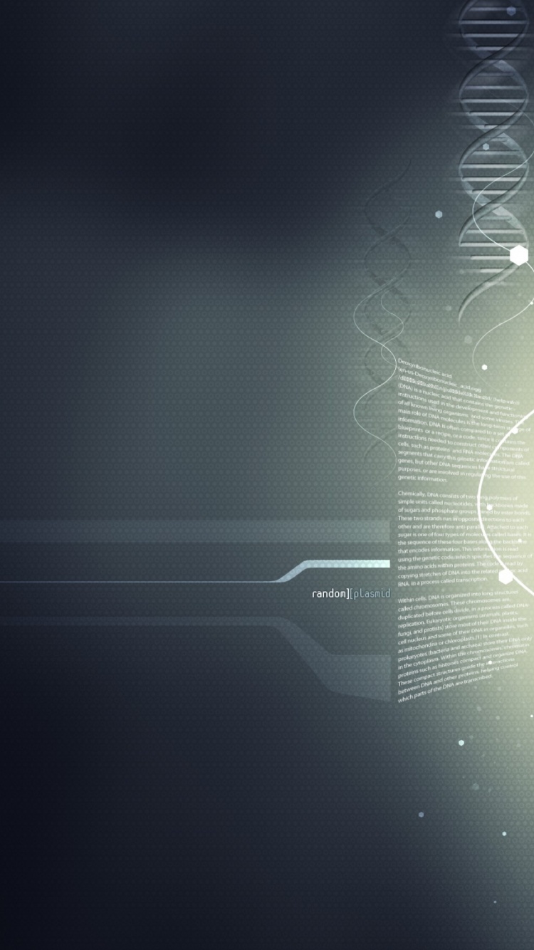 Random Plasmid - DNA