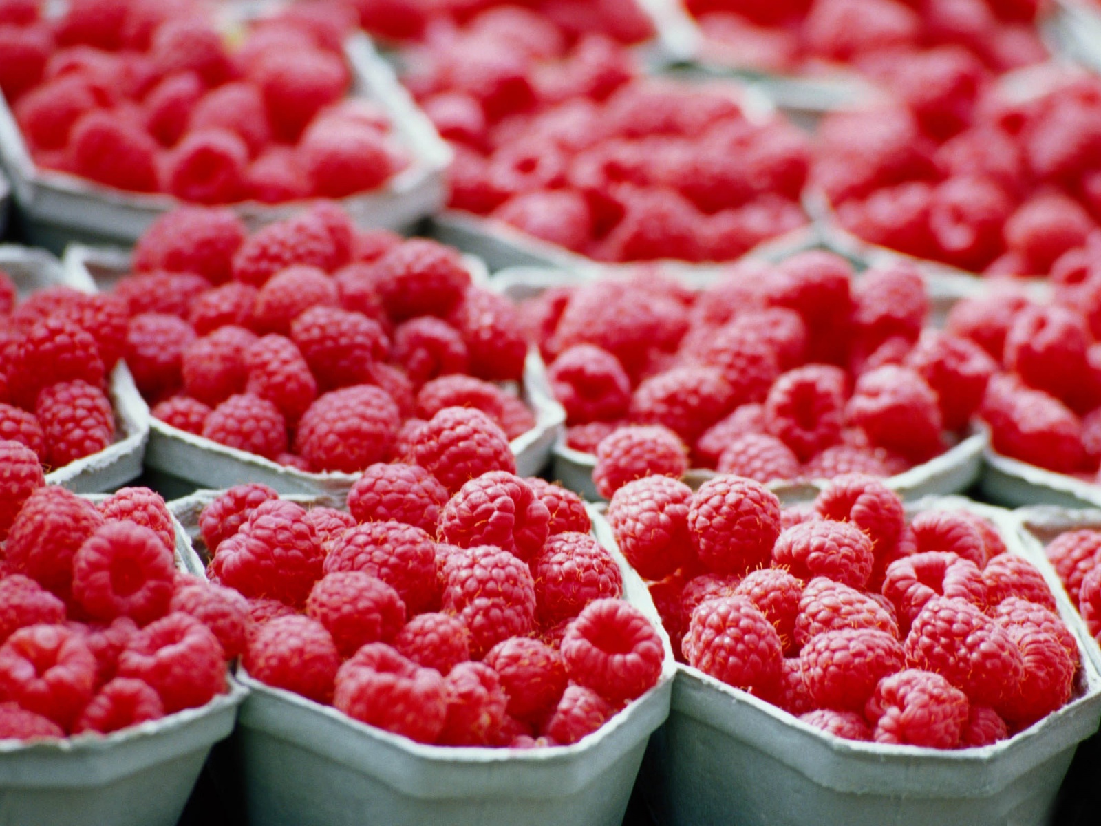 Raspberries Food