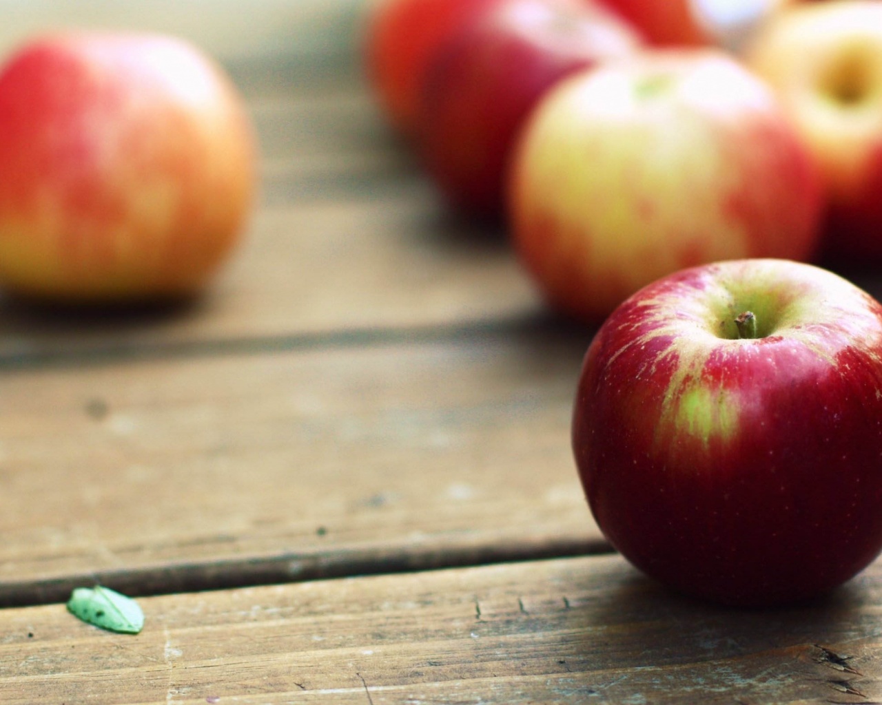 Red Apples Close Up