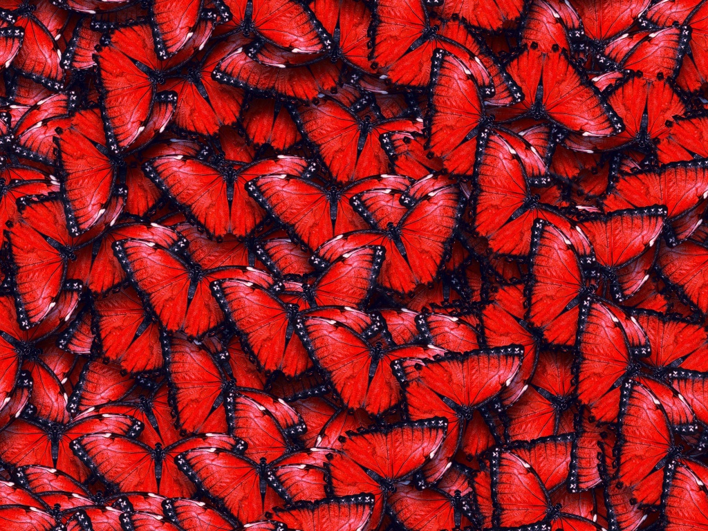 Red Butterfly Pattern