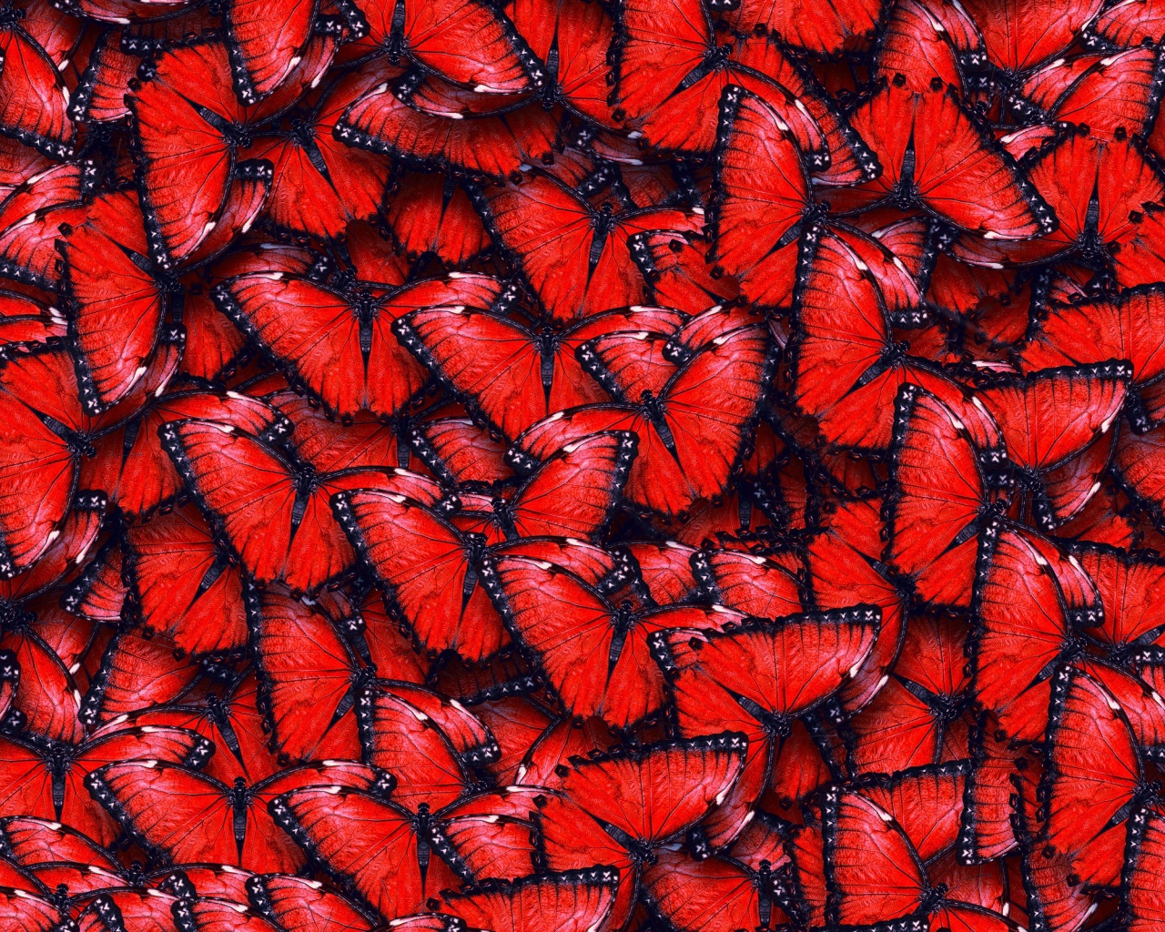 Red Butterfly Pattern