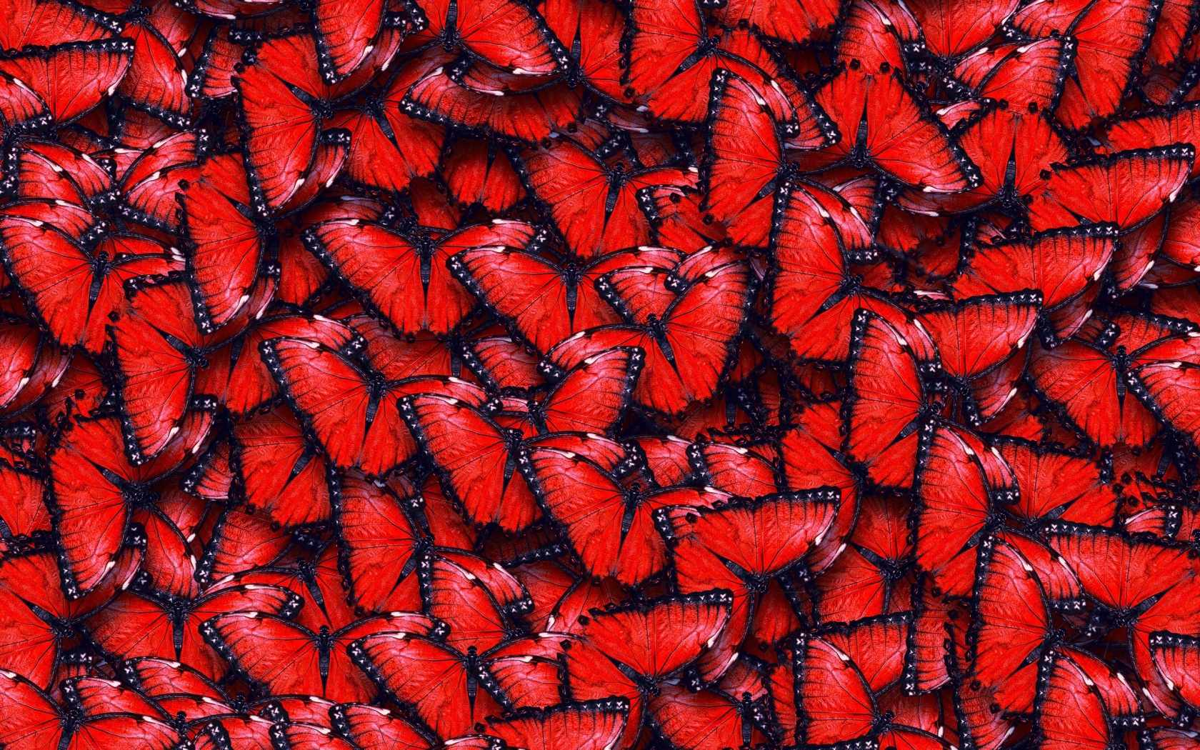 Red Butterfly Pattern