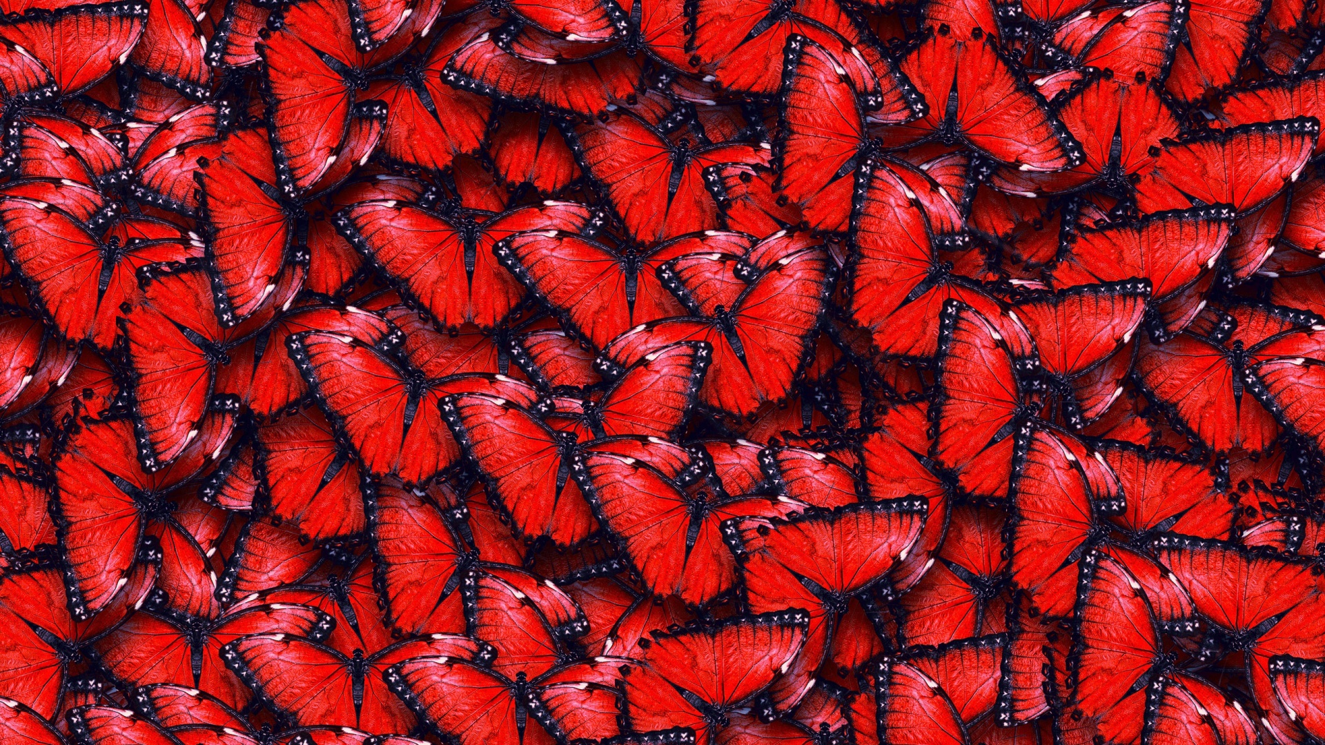 Red Butterfly Pattern