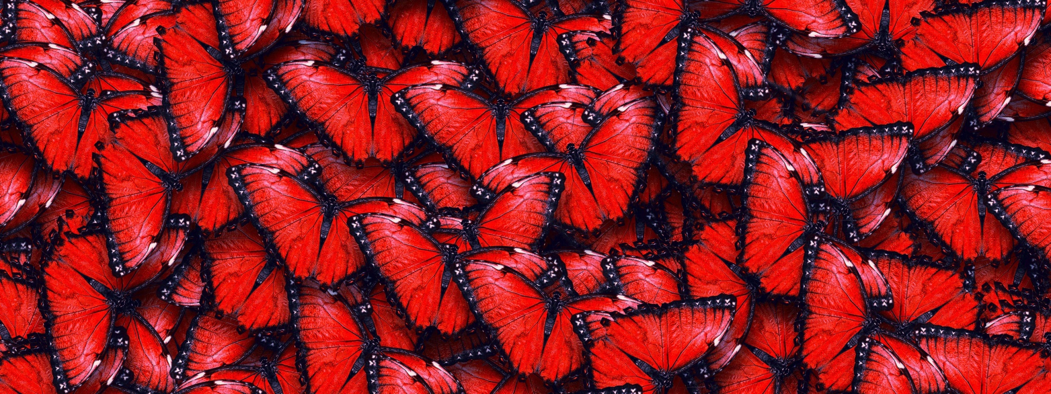 Red Butterfly Pattern