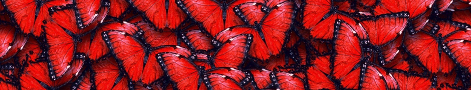 Red Butterfly Pattern