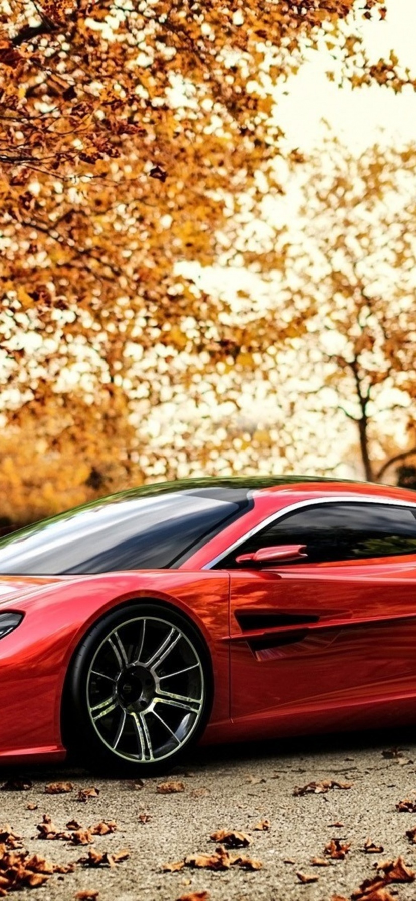 Red Car And Light Of Autumn Sunset