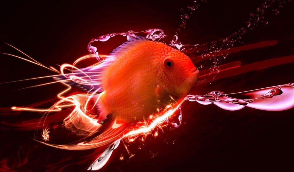 Red Fish