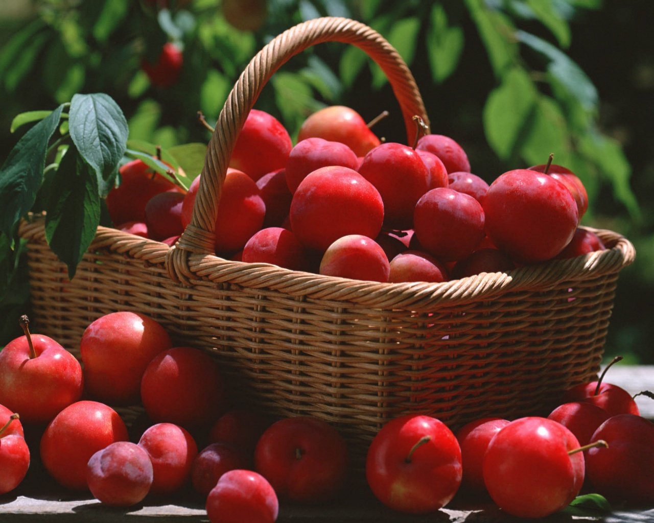 Red Plums In A Basket