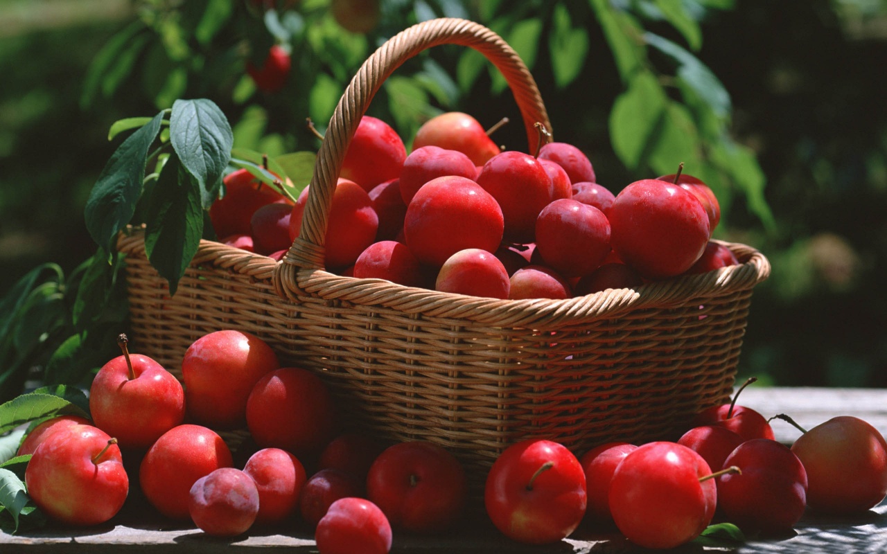 Red Plums In A Basket