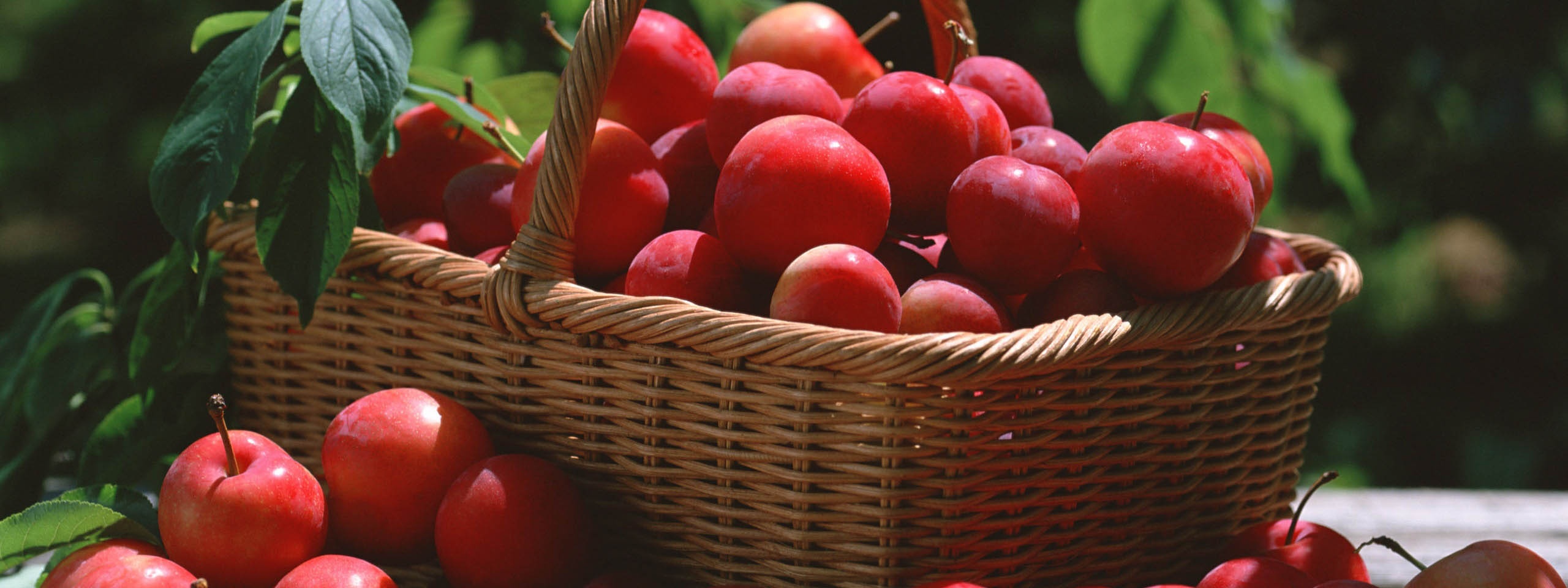 Red Plums In A Basket