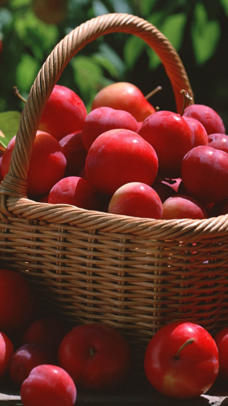 Red Plums In A Basket