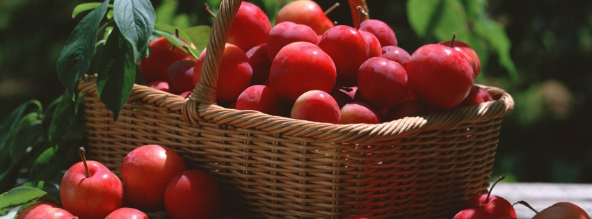 Red Plums In A Basket