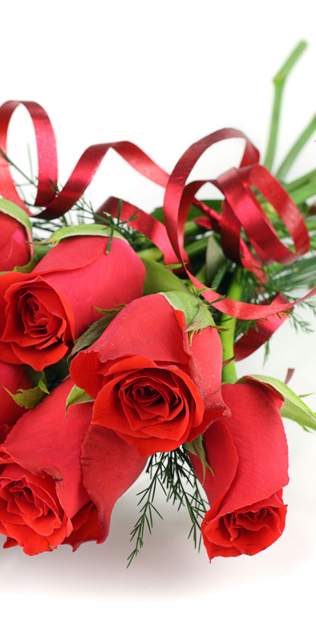 Red Roses For March 8 Womens Day