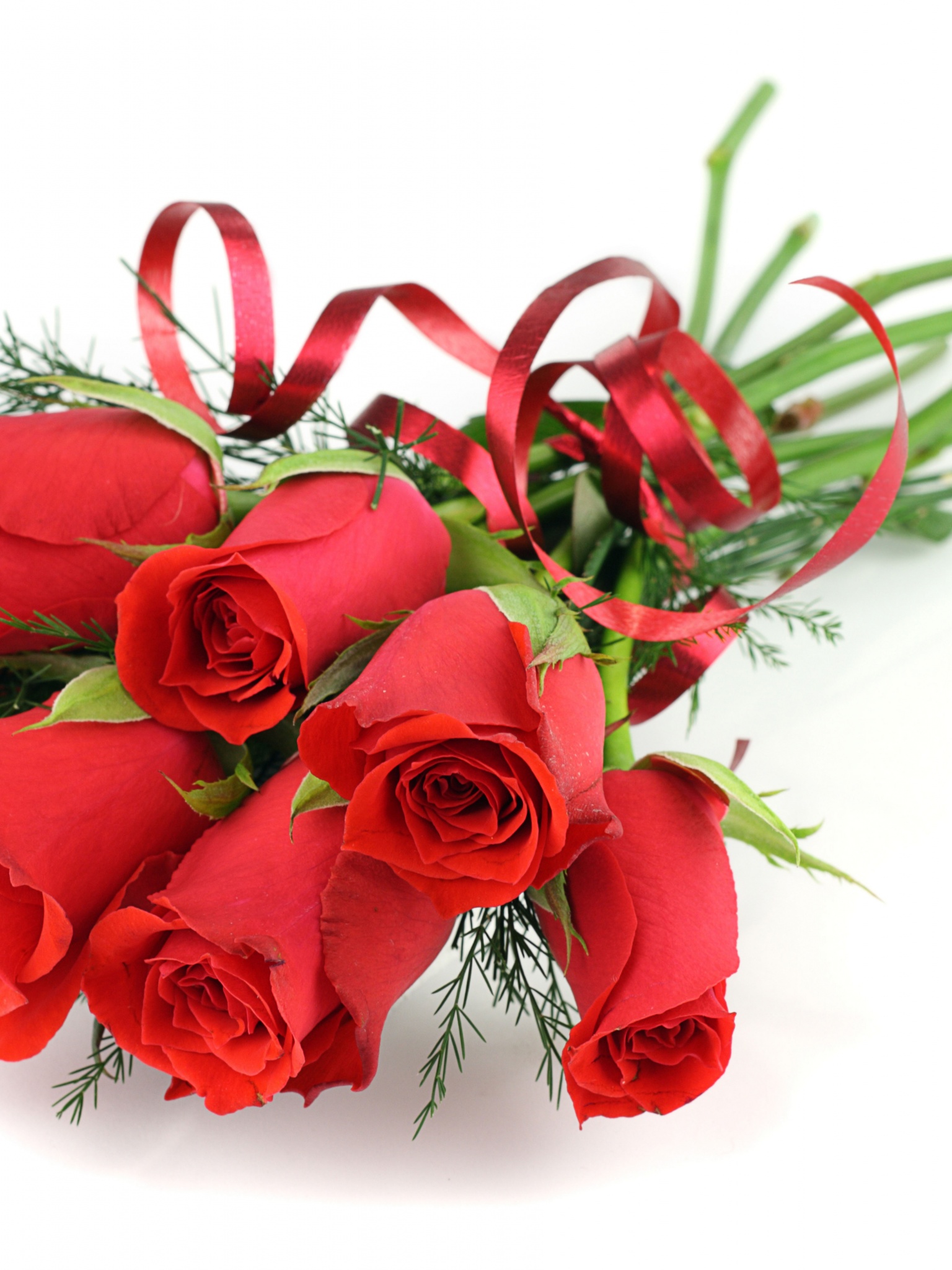 Red Roses For March 8 Womens Day