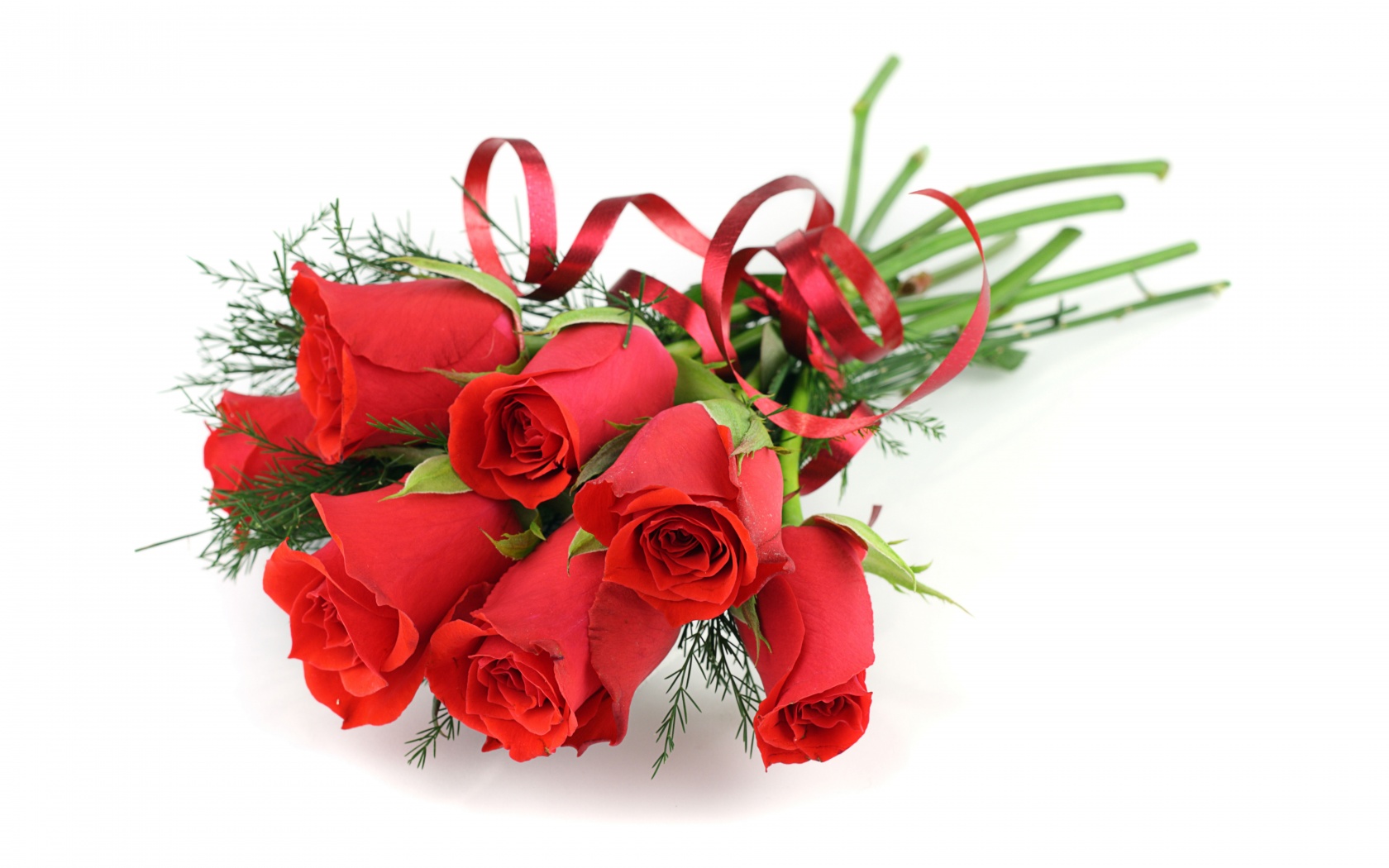 Red Roses For March 8 Womens Day