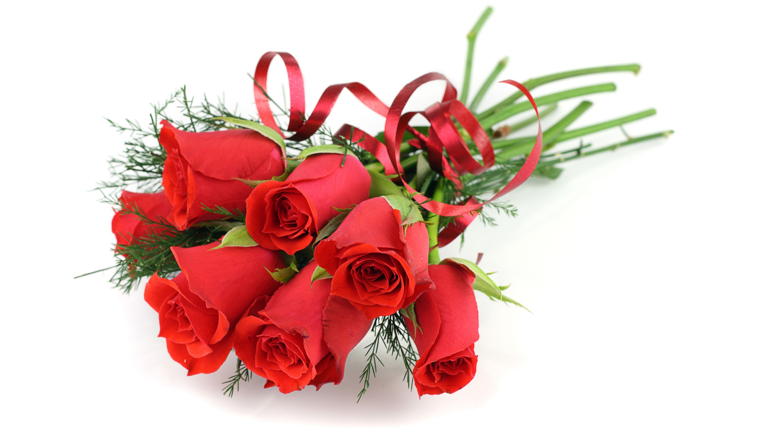 Red Roses For March 8 Womens Day