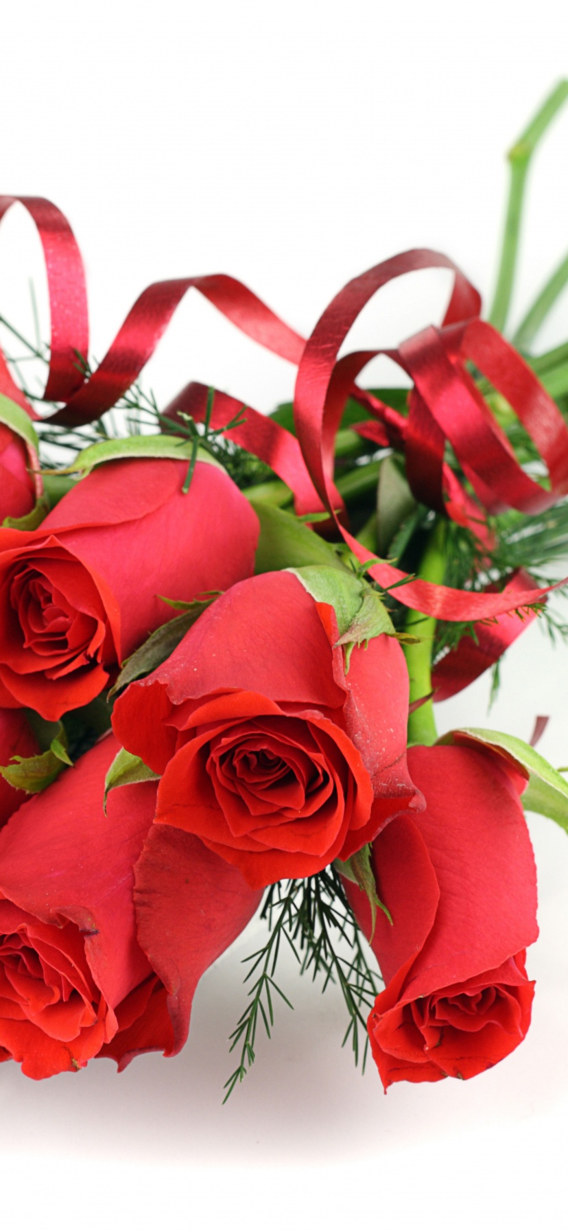 Red Roses For March 8 Womens Day