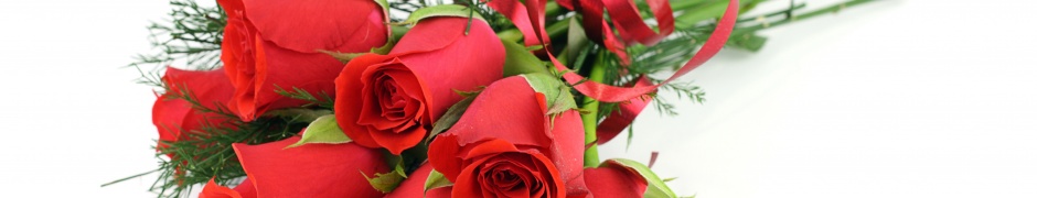 Red Roses For March 8 Womens Day
