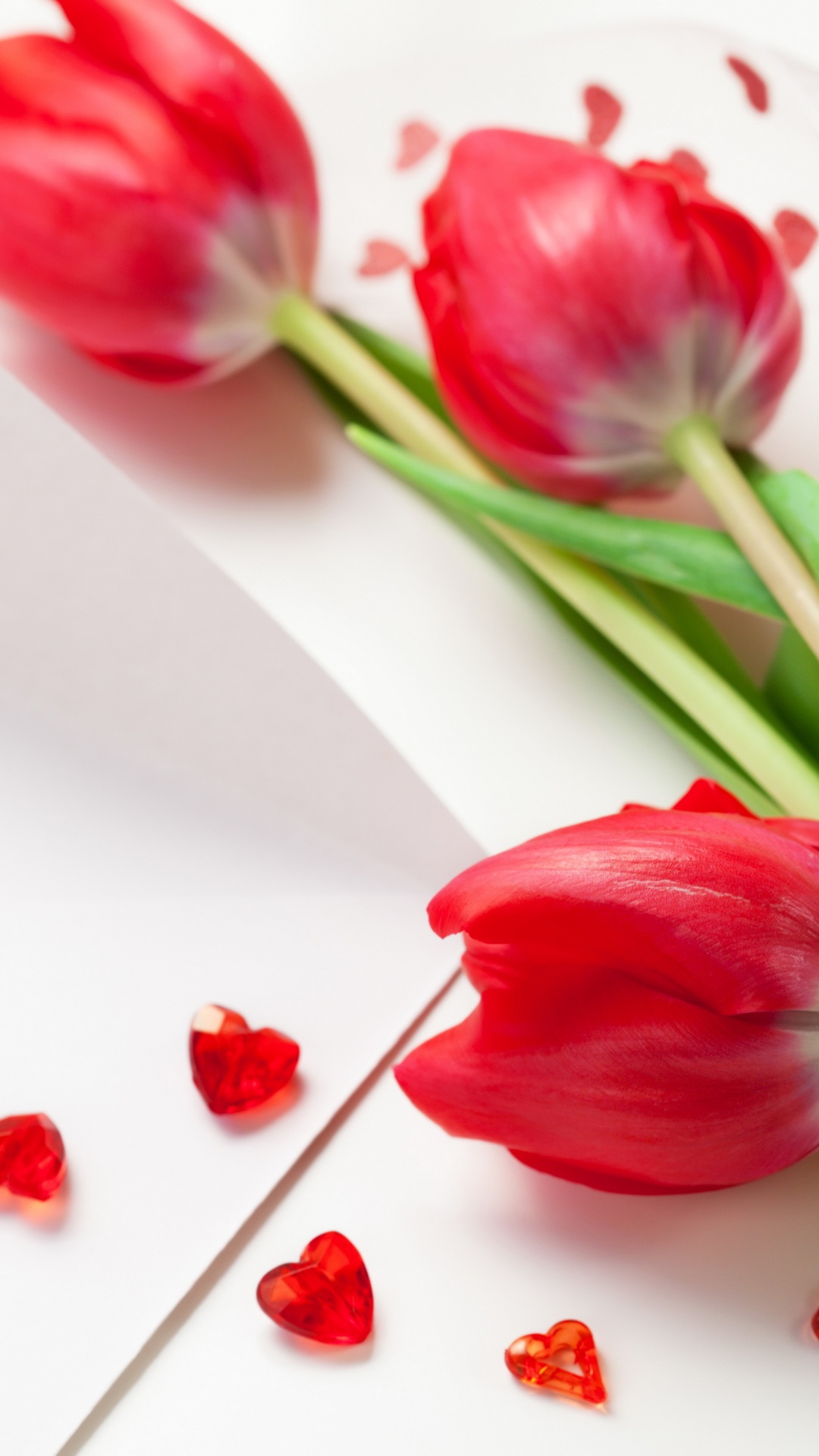 Red Tulips For Womens Day