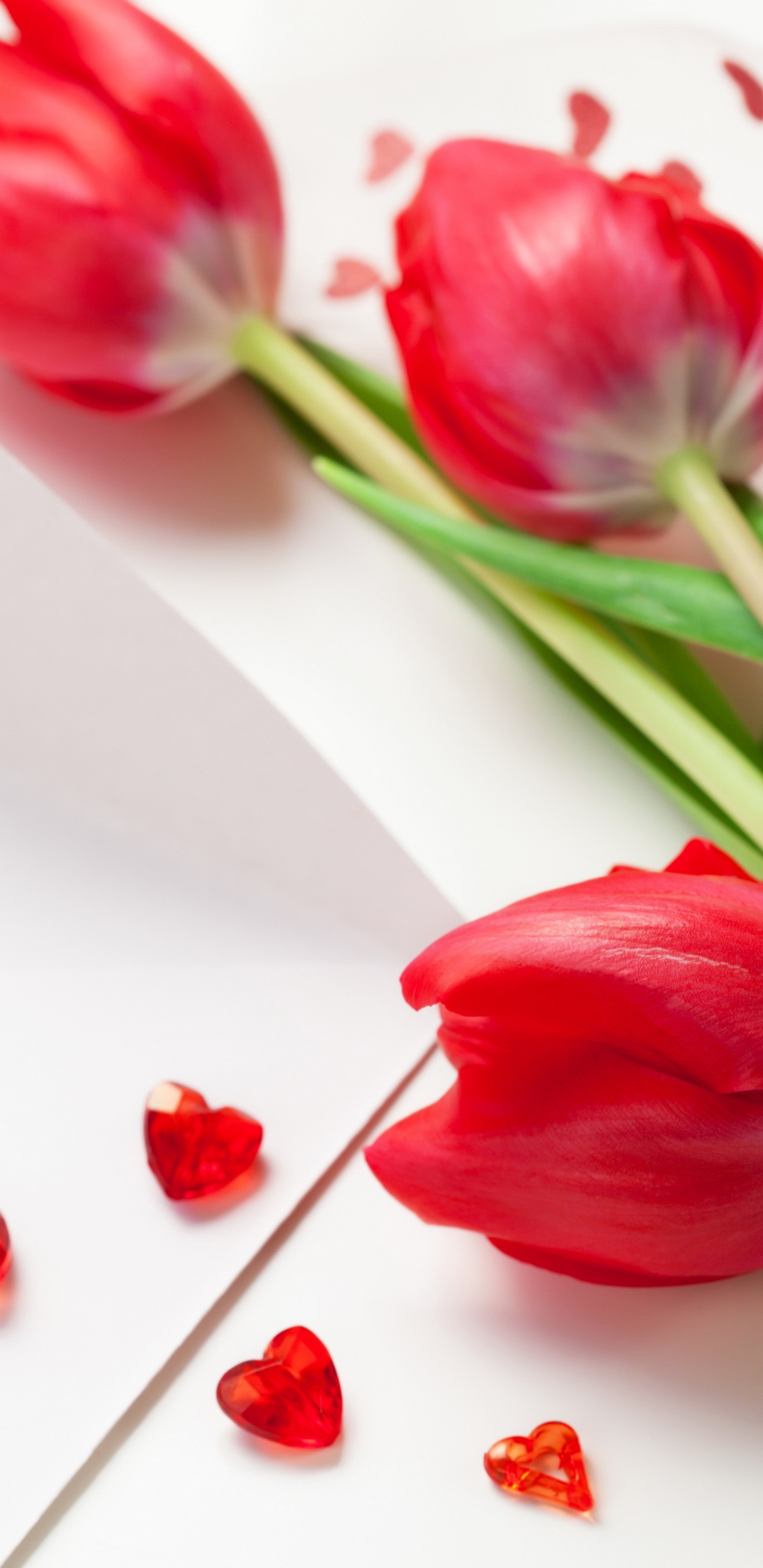 Red Tulips For Womens Day