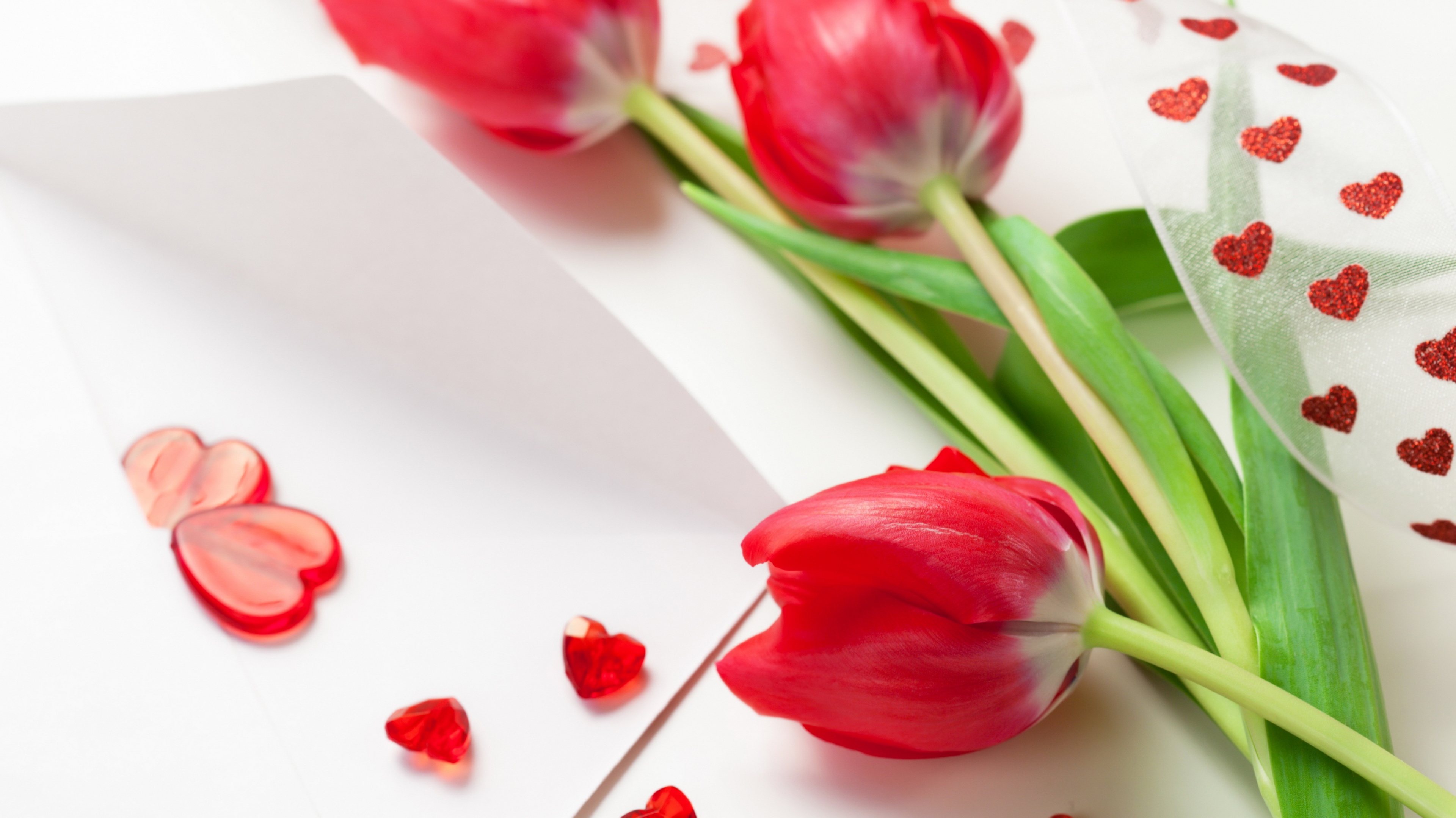 Red Tulips For Womens Day